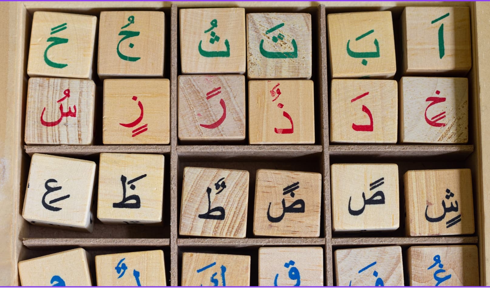 اللغة العربية المحاسبة المراجعة الشهادات المهنية الشركات الوظائف